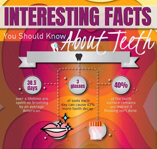 Interesting facts you should know about Teeth – Infographic